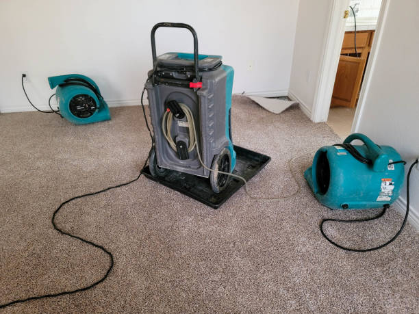 Best Basement water damage restoration  in Star City, WV