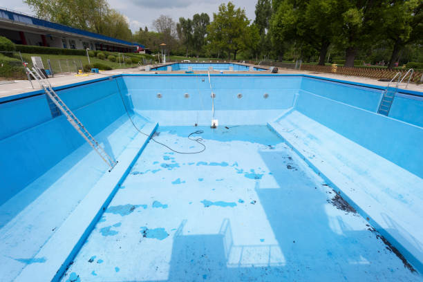 Best Basement water damage restoration  in Star City, WV