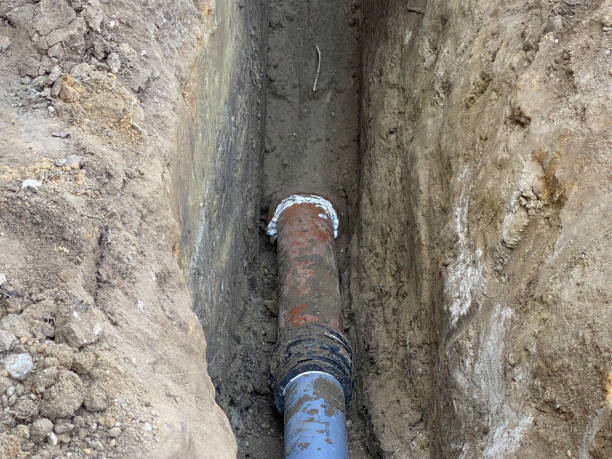 Best Flood restoration services  in Star City, WV