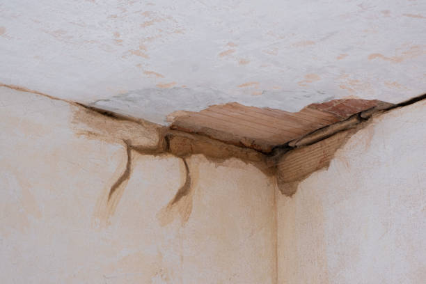 Best Water damage cleanup near me  in Star City, WV