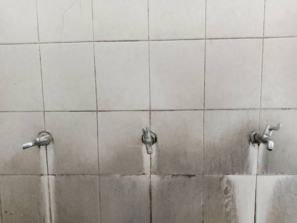 Star City, WV Water damage restoration Company
