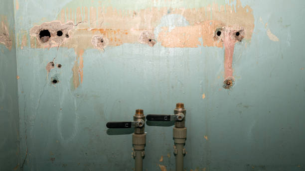 Best 24/7 water damage repair  in Star City, WV