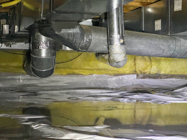 Best Water damage restoration specialists  in Star City, WV