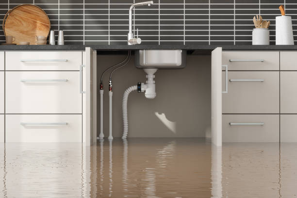 Best 24-hour water damage restoration  in Star City, WV