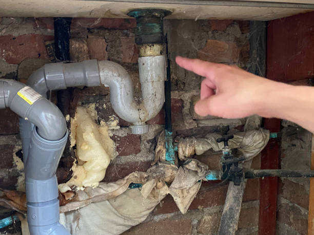 Best Flood damage cleanup  in Star City, WV