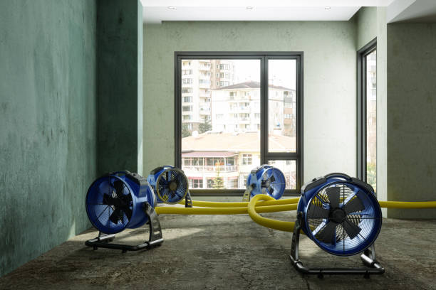 Best Basement water damage restoration  in Star City, WV